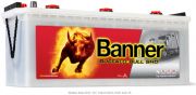 BANNER Buffalo Bull SHD 64035
