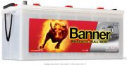 BANNER Buffalo Bull SHD 72511