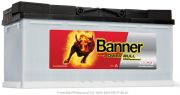 BANNER Power Bull Professional P10040